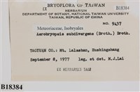 大灰氣蘚藏品圖，第2張