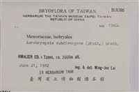 大灰氣蘚藏品圖，第2張
