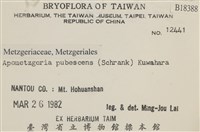 毛擬叉苔藏品圖，第2張