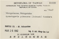 毛擬叉苔藏品圖，第2張