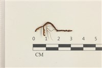 登錄號:B00018392藏品圖，第1張