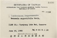 登錄號:B00018393藏品圖，第2張