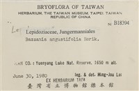 登錄號:B00018394藏品圖，第2張