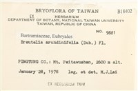 大熱澤蘚藏品圖，第2張
