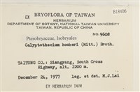 登錄號:B00018406藏品圖，第2張