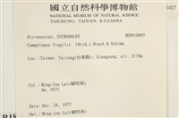 脆枝曲柄蘚藏品圖，第2張