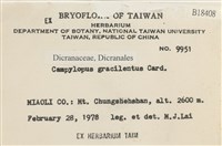 登錄號:B00018408藏品圖，第2張