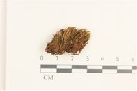 登錄號:B00018408藏品圖，第1張