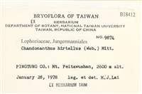 齒邊廣萼苔藏品圖，第2張
