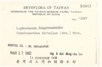 齒邊廣萼苔藏品圖，第2張
