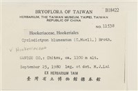 館號:B00018422藏品圖，第2張