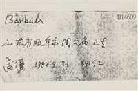 淡色塔葉苔藏品圖，第2張