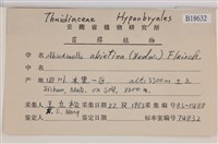 山羽蘚藏品圖，第2張