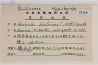 登錄號:B00018634藏品圖，第2張