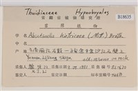 登錄號:B00018635藏品圖，第2張