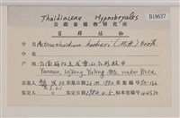 登錄號:B00018637藏品圖，第2張