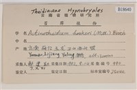 登錄號:B00018640藏品圖，第2張