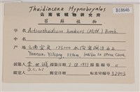 登錄號:B00018646藏品圖，第2張