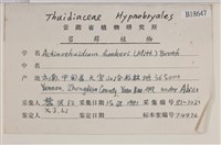 登錄號:B00018647藏品圖，第2張