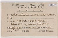 登錄號:B00018650藏品圖，第2張