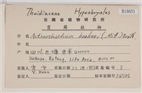館號:B00018651藏品圖，第2張