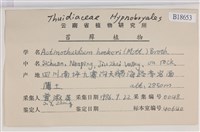 登錄號:B00018653藏品圖，第2張