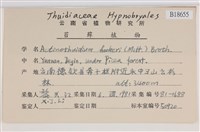 登錄號:B00018655藏品圖，第2張