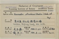 登錄號:B00018663藏品圖，第2張