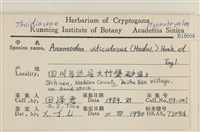 登錄號:B00018664藏品圖，第2張
