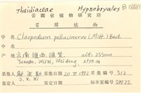 登錄號:B00018667藏品圖，第2張