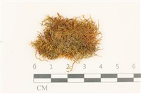 登錄號:B00018667藏品圖，第1張