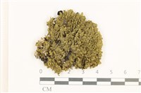 登錄號:B00018862藏品圖，第1張