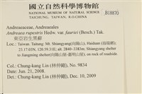 登錄號:B00018870藏品圖，第2張