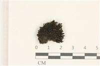 登錄號:B00018870藏品圖，第1張