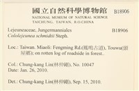 登錄號:B00018906藏品圖，第2張