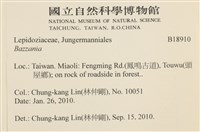 登錄號:B00018910藏品圖，第2張