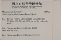 大灰氣蘚藏品圖，第2張