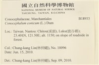 蛇苔藏品圖，第2張