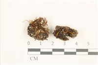 登錄號:B00018947藏品圖，第1張
