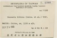 登錄號:B00018968藏品圖，第2張