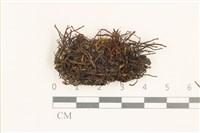 登錄號:B00018990藏品圖，第1張
