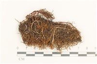 登錄號:B00018993藏品圖，第1張