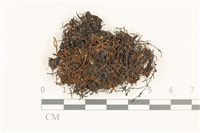 登錄號:B00019001藏品圖，第1張