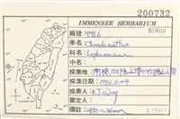 登錄號:B00019010藏品圖，第2張