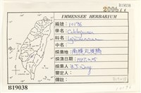 登錄號:B00019038藏品圖，第2張