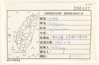 登錄號:B00019051藏品圖，第2張