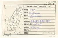 登錄號:B00019056藏品圖，第2張