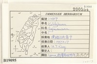 登錄號:B00019095藏品圖，第2張