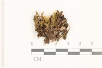 登錄號:B00019105藏品圖，第1張