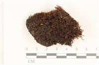 登錄號:B00019111藏品圖，第1張